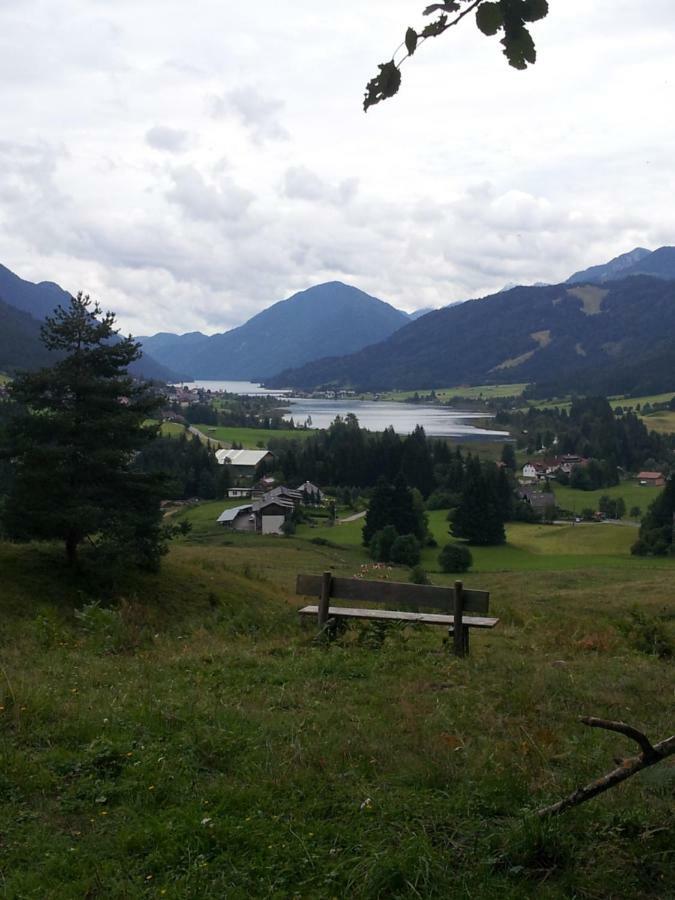 La Perla Della Drava Apartment